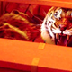 Illustration for article titled emLife of Pi/em could be the years second most gorgeous fantasy movie